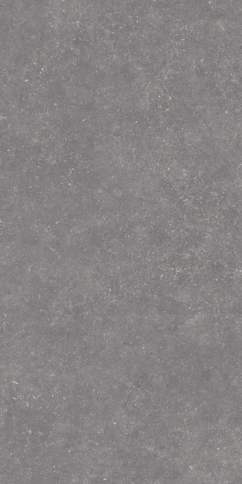 bluestone dark porcelian tile